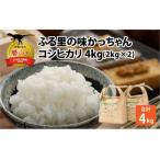 令和6年産 コシヒカリ4kg