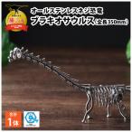 恐竜 ステンレス ネジ恐竜 ブラキオサウルス