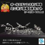 恐竜 ステンレス ミニネジ恐竜 5体セット