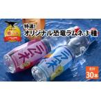 特選 オリジナル恐竜ラムネ3種×10本SET