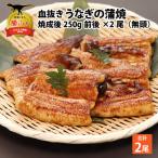うなぎ 蒲焼 血抜き 約250g×2尾