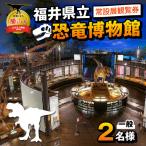 恐竜博物館 常設展 観覧券 一般2名