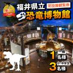 恐竜博物館 常設展 観覧券 一般2名 小中学生1名