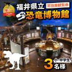恐竜博物館 常設展 観覧券 小中学生3名