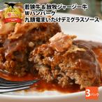 ハンバーグ 若狭牛 ジャージー牛 3パック