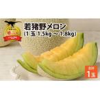 勝山 若猪野メロン 1玉