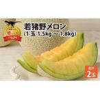 勝山 若猪野メロン 2玉