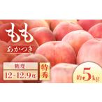 ふるさと納税 【2026年発送先行予約】 もも　あかつき（秀品） 約5kg【10〜18玉】※2026年7月中下旬〜8月初旬発送予定※ 長野県豊丘村
