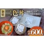 二色丼 生シラウオ沖漬け 釜揚げしらす セット 合計600g