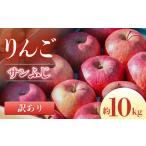 ふるさと納税 【2026年発送先行予約】りんご サンふじ※訳あり品※ 約10kg【20〜40玉】※2026年11月下旬〜12月中旬発送※ 長野県豊丘村