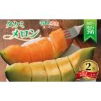 飯岡メロン 約3.4kg