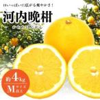 ふるさと納税 口いっ�