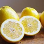 ふるさと納税 小林果�