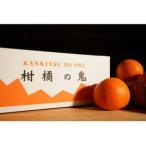 ふるさと納税 八幡浜産・清見タンゴール10kg【訳あり】【C56-41】【配送不可地域：離島】【1479307】 愛媛県八幡浜市