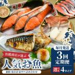 魚鶴商店が選ぶ お魚E 銀鮭切身 サバフィレ
