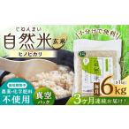 栽培期間中 農薬 化学肥料不使用 自然米 玄米 6kg
