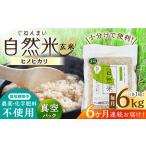 栽培期間中 農薬 化学肥料不使用 自然米 玄米 6kg