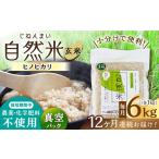 栽培期間中 農薬 化学肥料不使用 自然米 玄米 6kg