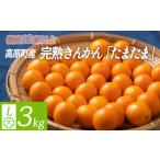 産完熟きんかん たまたま L玉 大 3kg