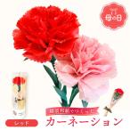 母の日 越前和紙カーネーション 永遠の感謝