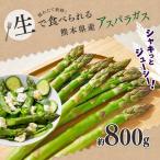 アスパラガス グリーン 約 800g