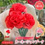 母の日 越前和紙カーネーション1束 永遠の感謝