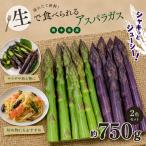 生で食べれる アスパラガス 2色 セット グリーン