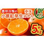 ふるさと納税 <先行予約!2025年11月下旬以降順次発送予定><訳あり・家庭用>香川県産 小原紅早生みかん (約5kg・小玉) 国産 果物 フルー.. 香川県まんのう町