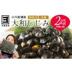 砂抜き済みで手間いらず 冷凍 小川原湖産大和しじみ2kg 500…