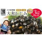 砂抜き済みで手間いらず 冷凍 小川原湖産大和しじみ