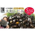 砂抜き済みで手間いらず 冷凍 小川原湖産大和しじみ5.5kg 5…