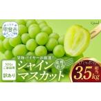 ふるさと納税 【来年(2026年/令和8年)発送<先行予約>】 訳あり 家庭用 ふるなび限定 シャインマスカット 3.5kg相当 大容量 先行予約 産地直.. 山梨県甲斐市