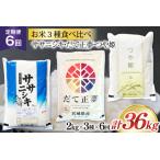 ふるさと納税 6回 定期