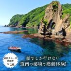 岩部クルーズ乗船券1枚 FKB004
