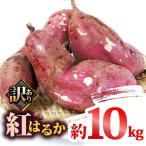 訳あり さつまいも 紅はるか 10kg