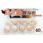 烏骨鶏 濃厚な黄身 爽やかな白身が自慢 40玉