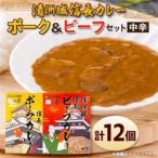清洲城信長ポークカレー 中辛 と清洲城信長ビーフカレー