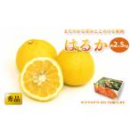 はるか 約2.5kg