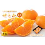 せとか 2L-3L 5-6玉 用化粧箱入り