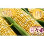 ショッピングふるさと納税 先行予約 ふるさと納税 とうもろこし 先行予約 甘々娘 12〜14本 幻のとうもろこし 朝どれ 甘い 野菜 夏野菜 旬 夏 高糖度 産地直送 旬の野菜 季節の野菜 新.. 静岡県森町
