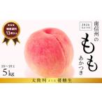 ふるさと納税 JA03-26A 【先行予約】 桃 あかつき 約5kg ／2026年7月下旬〜8月上旬頃 配送予定 // 贈答 センサー選別 糖度センサー 桃 もも 果物.. 長野県松川町