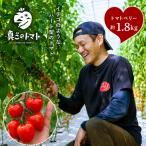 ミニトマト トマトベリー 約1.8kg