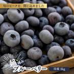 KB05 冷凍ブルーベリー 約1kg