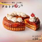 PN02-25D 季節のりんごのタルトタタン