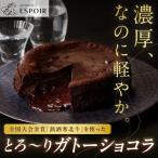 全国大会金賞 銘酒 寒北斗 を使った とろ~りガトーショコラ