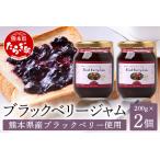 無農薬 自家栽培 ブラックベリー ジャム 2瓶
