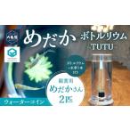 めだかボトルリウム-TUTU-