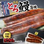 2174-1 薩摩とろ鰻蒲焼二尾 280g