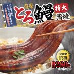 2175-1 薩摩とろ鰻蒲焼特大サイズ一尾280g