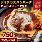 ビストロ ノリーナ特製 デミグラスハンバーグ 150g×5p